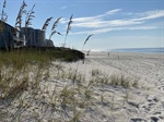 Escambia County Awarded $1.4m Grant for Dune Resiliency
