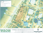 Beach Erosion, Wetlands Assessment and Offshore Drilling Resolution Come Before SRIA Committees