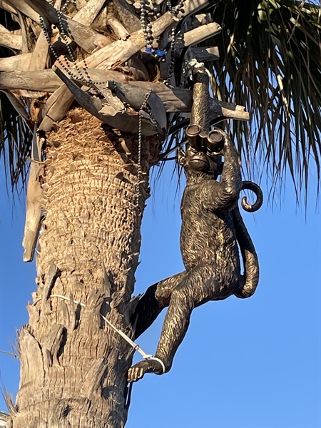 Name the Monkey Contest hosted by the Jane Waters Little Free Library